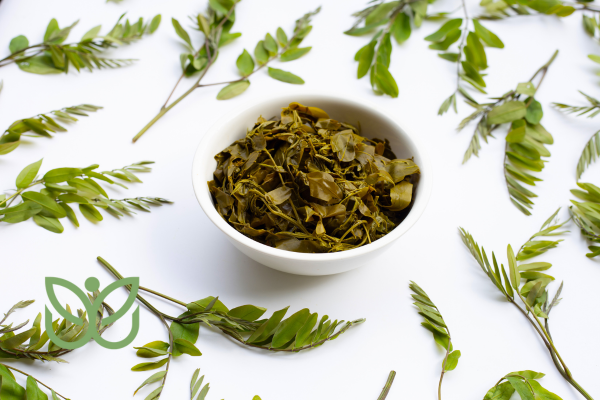 Feuille de Séné 1 admin