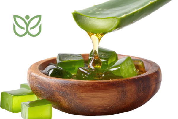 Gel d'Aloe Vera 1 admin
