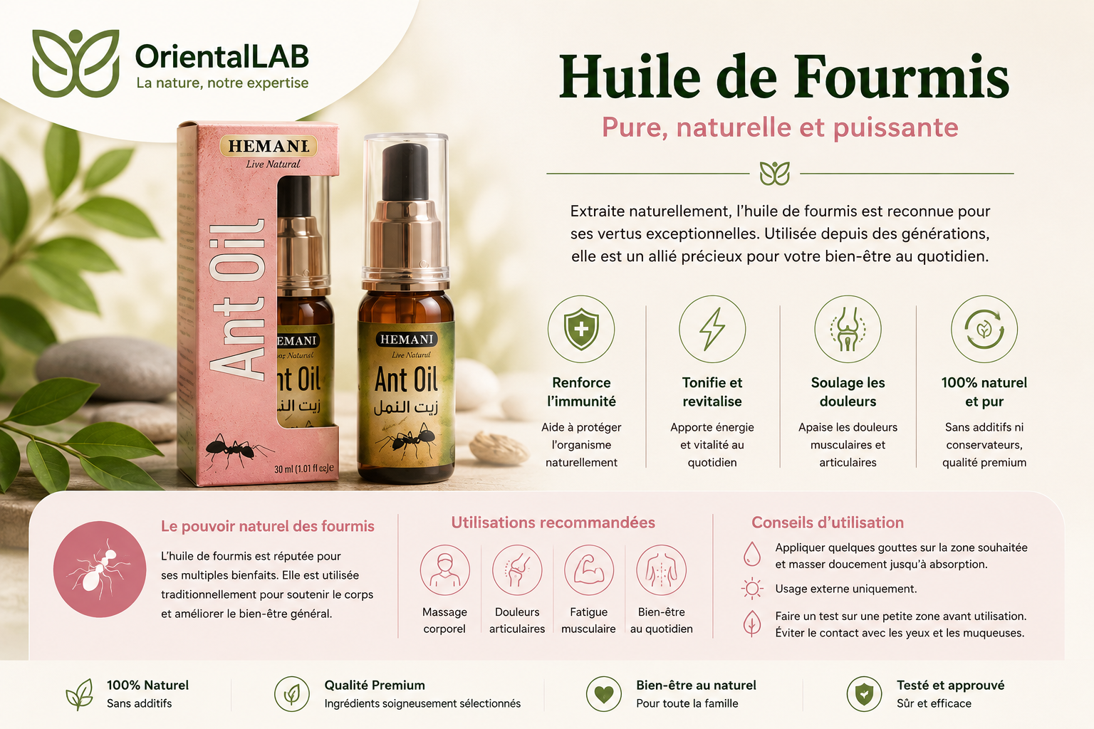 Huile de Fourmis : Ralentir la Repousse des Poils ? 1 huile de fourmis